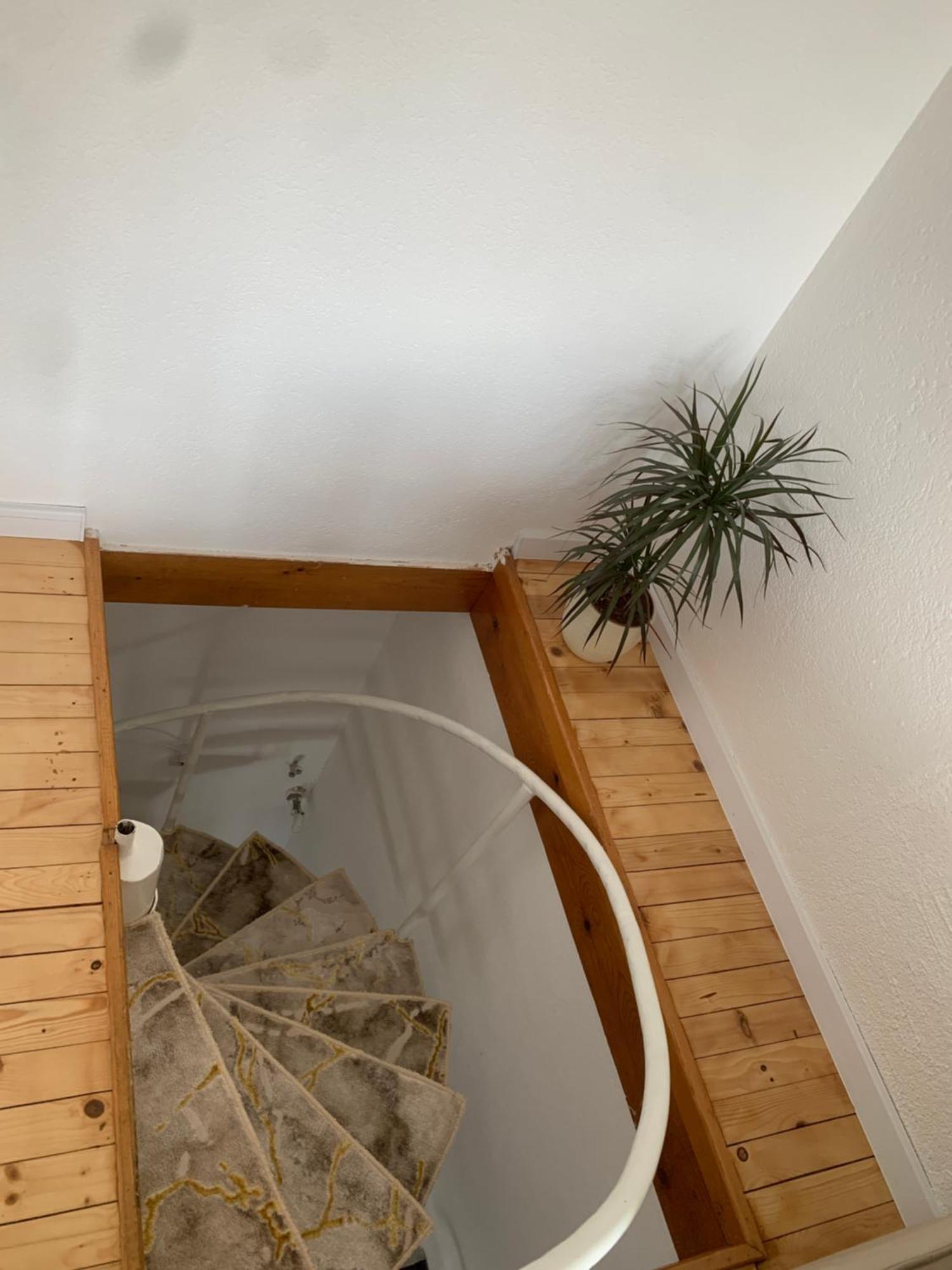 Little Heaven Free Parking Apartment ซาราเยโว ภายนอก รูปภาพ